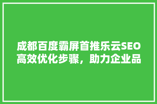 成都百度霸屏首推乐云SEO高效优化步骤，助力企业品牌腾飞