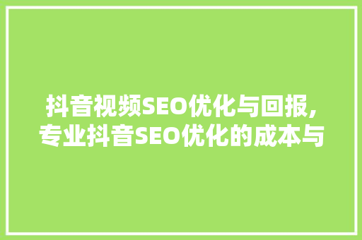 抖音视频SEO优化与回报,专业抖音SEO优化的成本与价值