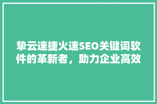 挚云速捷火速SEO关键词软件的革新者，助力企业高效提升网站排名