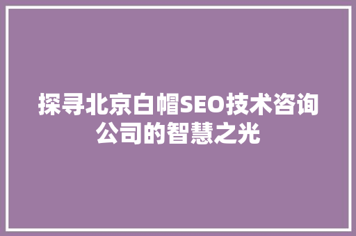 探寻北京白帽SEO技术咨询公司的智慧之光