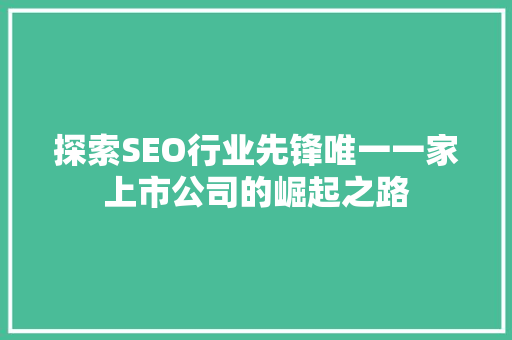 探索SEO行业先锋唯一一家上市公司的崛起之路