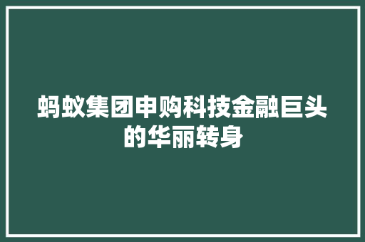 蚂蚁集团申购科技金融巨头的华丽转身  第1张