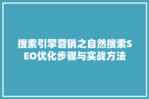 搜索引擎营销之自然搜索SEO优化步骤与实战方法