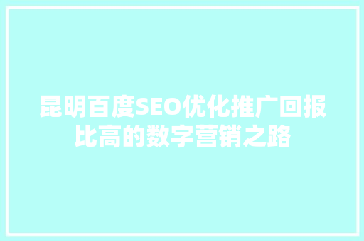昆明百度SEO优化推广回报比高的数字营销之路