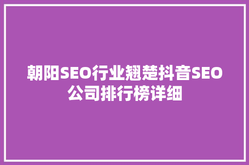 朝阳SEO行业翘楚抖音SEO公司排行榜详细