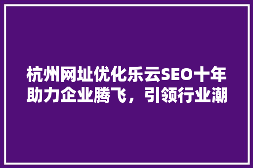 杭州网址优化乐云SEO十年助力企业腾飞，引领行业潮流