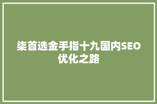 柒首选金手指十九国内SEO优化之路