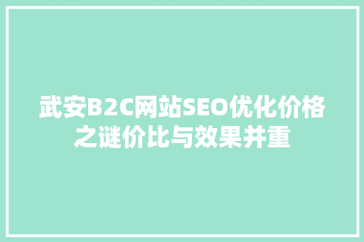 武安B2C网站SEO优化价格之谜价比与效果并重