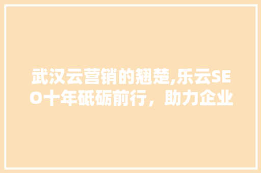 武汉云营销的翘楚,乐云SEO十年砥砺前行，助力企业腾飞