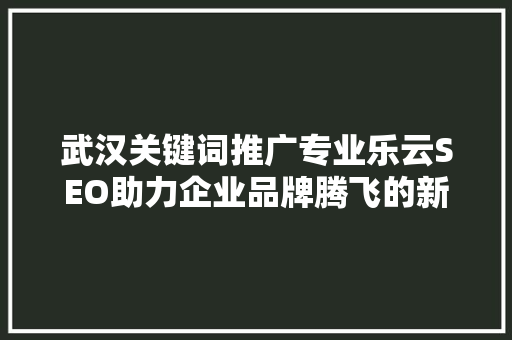 武汉关键词推广专业乐云SEO助力企业品牌腾飞的新引擎