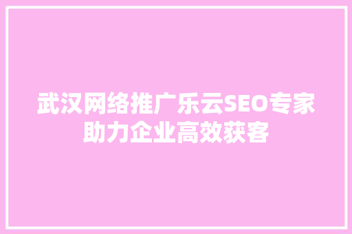 武汉网络推广乐云SEO专家助力企业高效获客