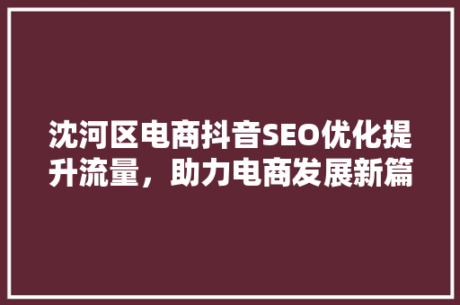 沈河区电商抖音SEO优化提升流量，助力电商发展新篇章