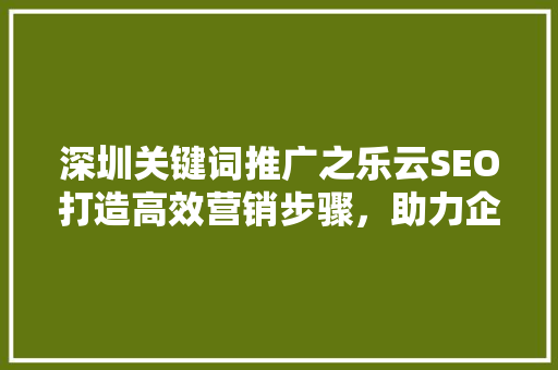 深圳关键词推广之乐云SEO打造高效营销步骤，助力企业腾飞