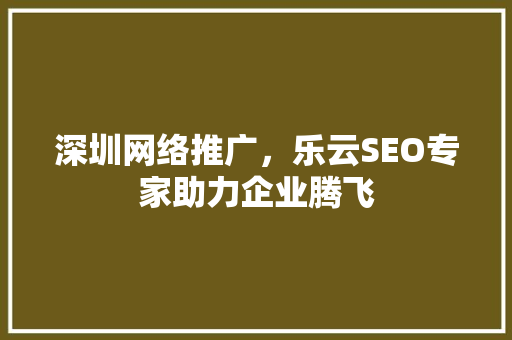 深圳网络推广，乐云SEO专家助力企业腾飞