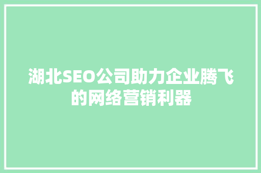 湖北SEO公司助力企业腾飞的网络营销利器
