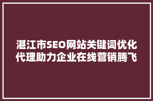 湛江市SEO网站关键词优化代理助力企业在线营销腾飞