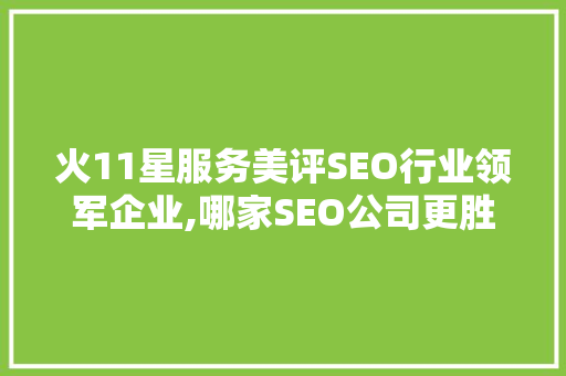 火11星服务美评SEO行业领军企业,哪家SEO公司更胜一筹