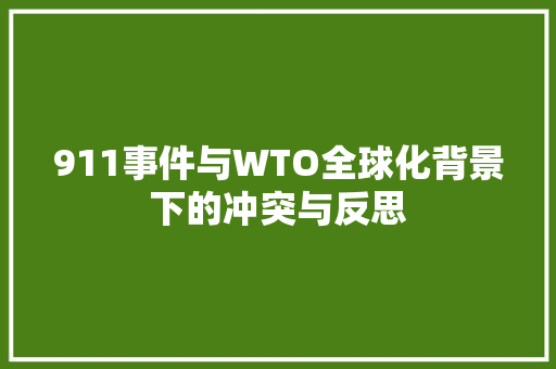911事件与WTO全球化背景下的冲突与反思