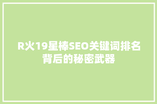 R火19星棒SEO关键词排名背后的秘密武器