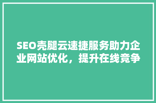 SEO壳腿云速捷服务助力企业网站优化，提升在线竞争力