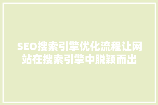 SEO搜索引擎优化流程让网站在搜索引擎中脱颖而出