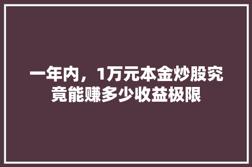 一年内，1万元本金炒股究竟能赚多少收益极限