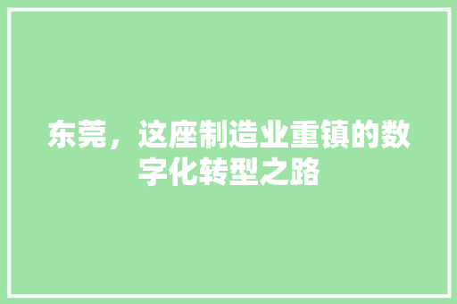 东莞，这座制造业重镇的数字化转型之路