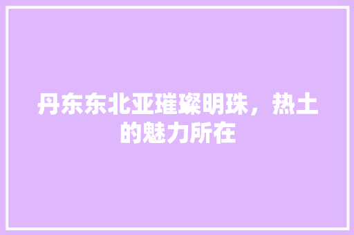 丹东东北亚璀璨明珠，热土的魅力所在