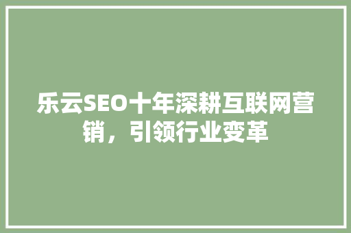 乐云SEO十年深耕互联网营销，引领行业变革