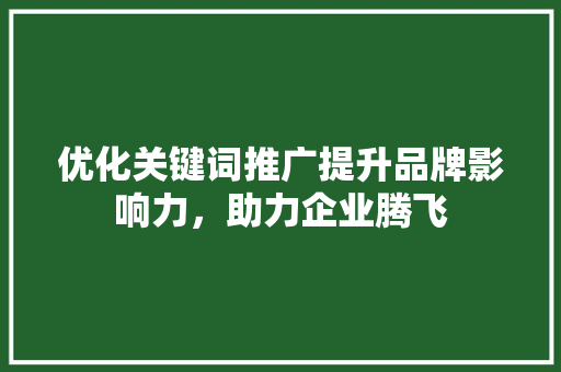 优化关键词推广提升品牌影响力，助力企业腾飞