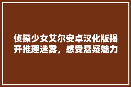 侦探少女艾尔安卓汉化版揭开推理迷雾，感受悬疑魅力