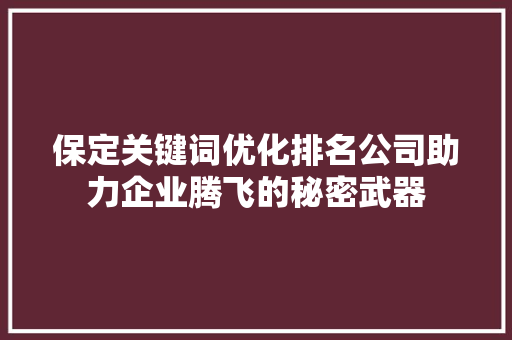 保定关键词优化排名公司助力企业腾飞的秘密武器