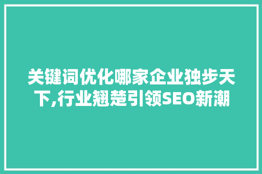关键词优化哪家企业独步天下,行业翘楚引领SEO新潮流