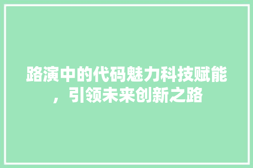 路演中的代码魅力科技赋能，引领未来创新之路