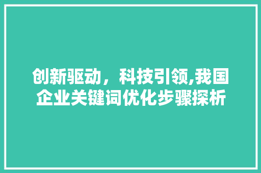 创新驱动，科技引领,我国企业关键词优化步骤探析