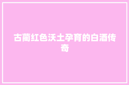 古蔺红色沃土孕育的白酒传奇