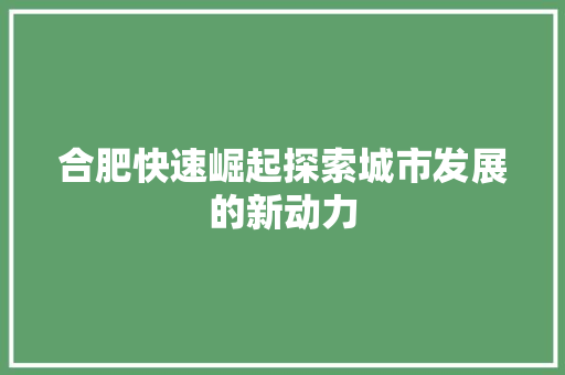 合肥快速崛起探索城市发展的新动力