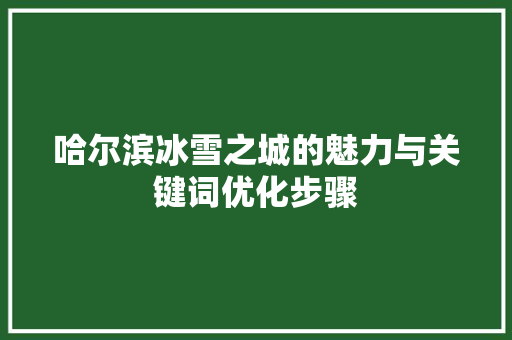 哈尔滨冰雪之城的魅力与关键词优化步骤