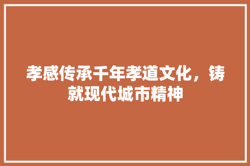 孝感传承千年孝道文化，铸就现代城市精神  第1张