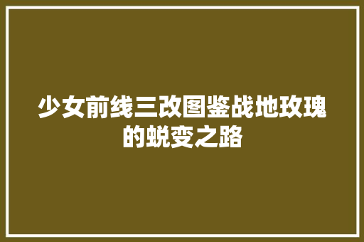 少女前线三改图鉴战地玫瑰的蜕变之路