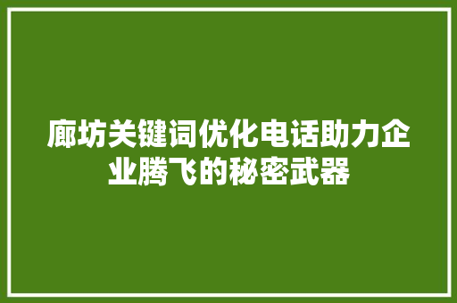 廊坊关键词优化电话助力企业腾飞的秘密武器
