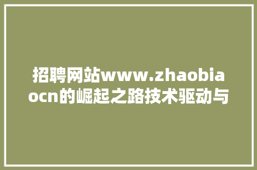 招聘网站www.zhaobiaocn的崛起之路技术驱动与精准匹配的完美融合