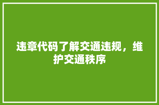 违章代码了解交通违规，维护交通秩序