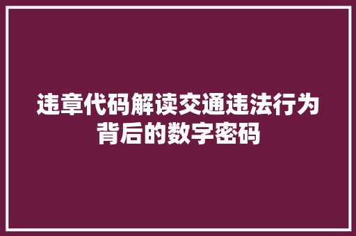违章代码解读交通违法行为背后的数字密码