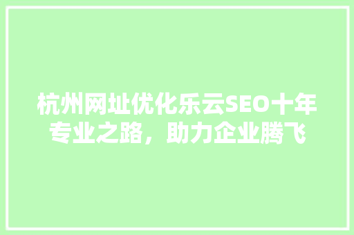 杭州网址优化乐云SEO十年专业之路，助力企业腾飞