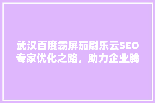 武汉百度霸屏茄尉乐云SEO专家优化之路，助力企业腾飞