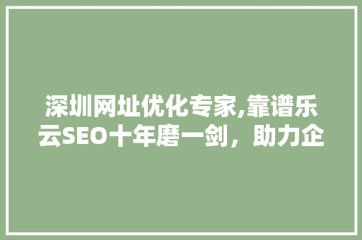 深圳网址优化专家,靠谱乐云SEO十年磨一剑，助力企业腾飞