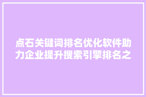 点石关键词排名优化软件助力企业提升搜索引擎排名之路