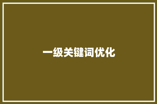 一级关键词优化