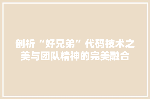剖析“好兄弟”代码技术之美与团队精神的完美融合